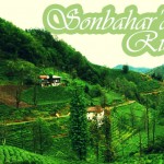 sb_rize