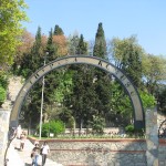IMG_7118