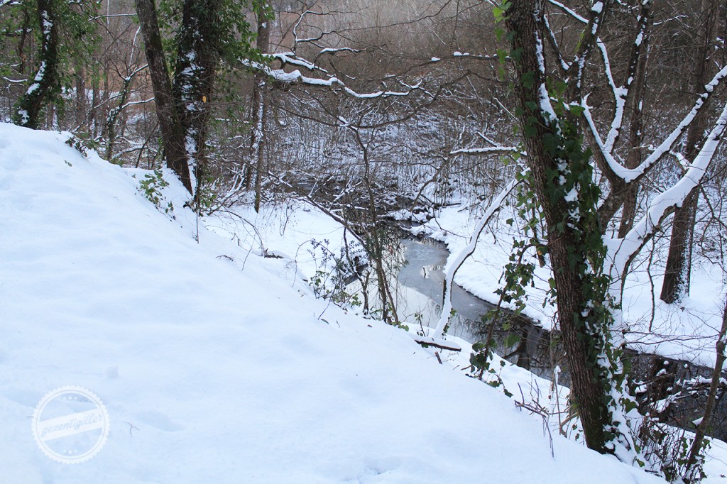 belgrad ormanı kar kış