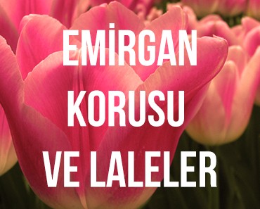 emirgan