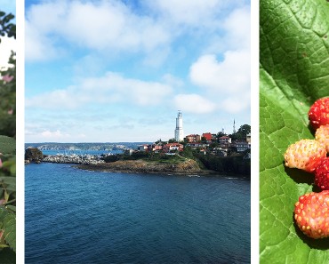 rumeli feneri 3. köprü