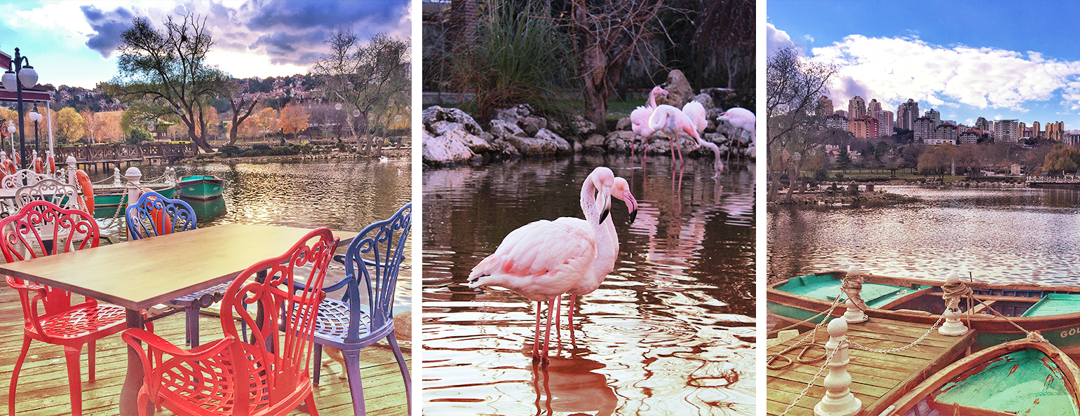 Haftasonu Gezimiz: Bahçeşehir Gölet ve Flamingo Köy